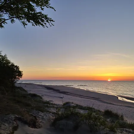 Mega Lux Z Basenem & シャノジェンティ